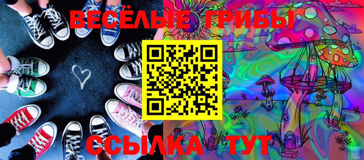 Галлюциногенные грибы GOLDEN TEACHER Белорецк